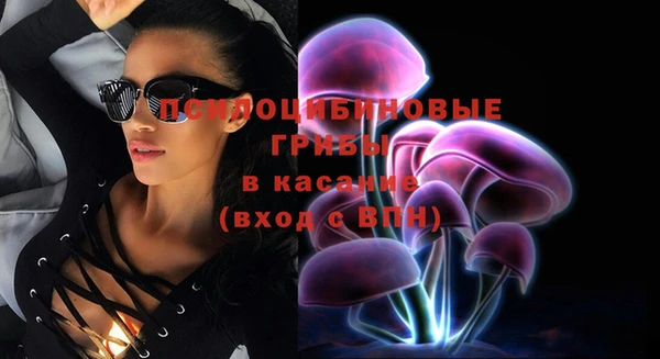 прущие крисы Бородино