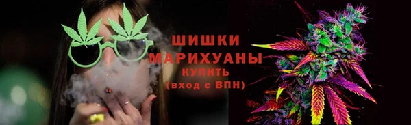 прущие крисы Бородино