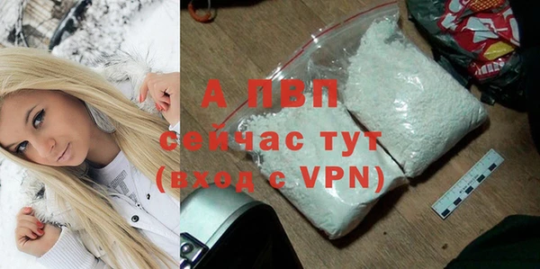 прущие крисы Бородино