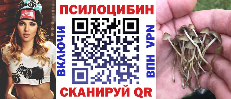 ОМГ ОМГ как войти  Междуреченск  Галлюциногенные грибы MAGIC MUSHROOMS 